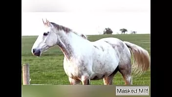تشغيل قرنية الجبهة يأخذ حصان عملاق تجميع دسار الديك | الجبهة ملثمين